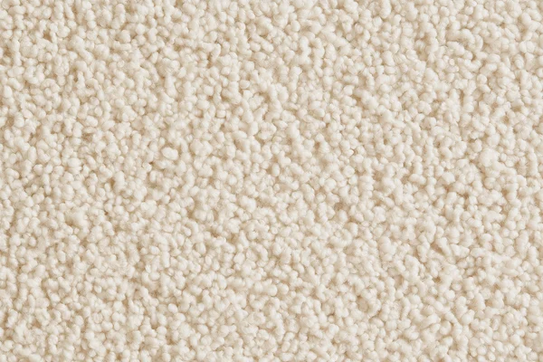 Cream Wool Carpet Texture