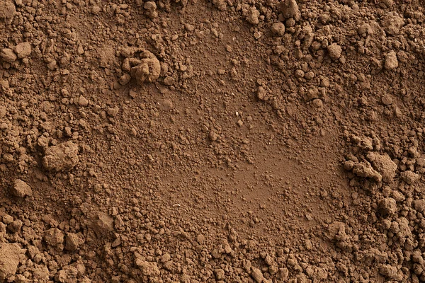 Brown Earth Texture