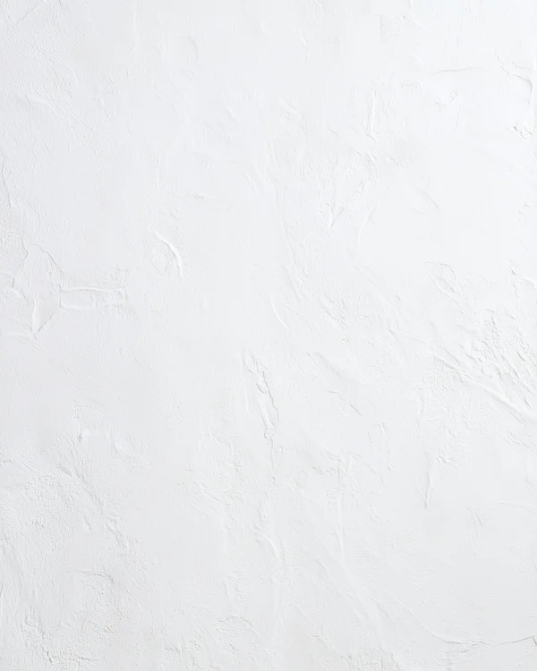 Minimalist White Plaster Wall Texture
