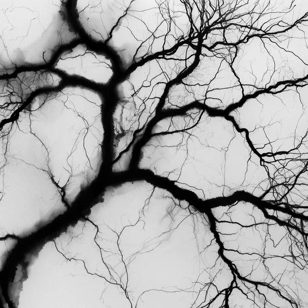 Monochrome Ink Branching Pattern