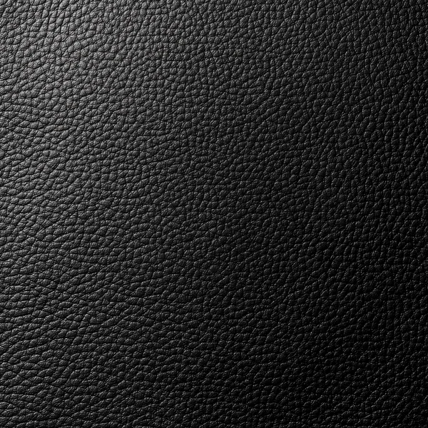 Black Pebbled Leather Texture