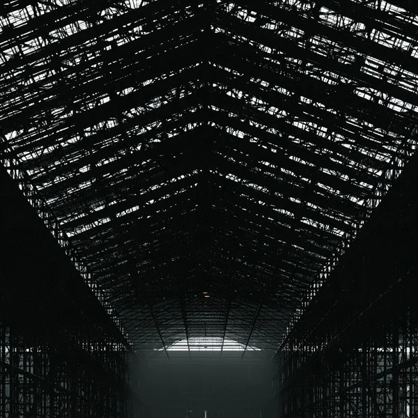 Symmetrical Steel Hangar Roof Structure