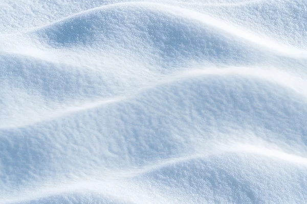 Fresh White Snow Surface