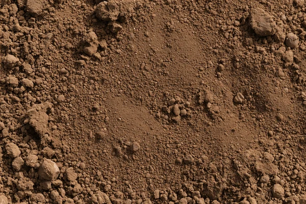 Brown Earth Texture