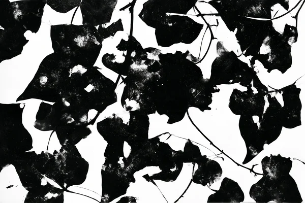 Black and White Ivy Leaf Pattern