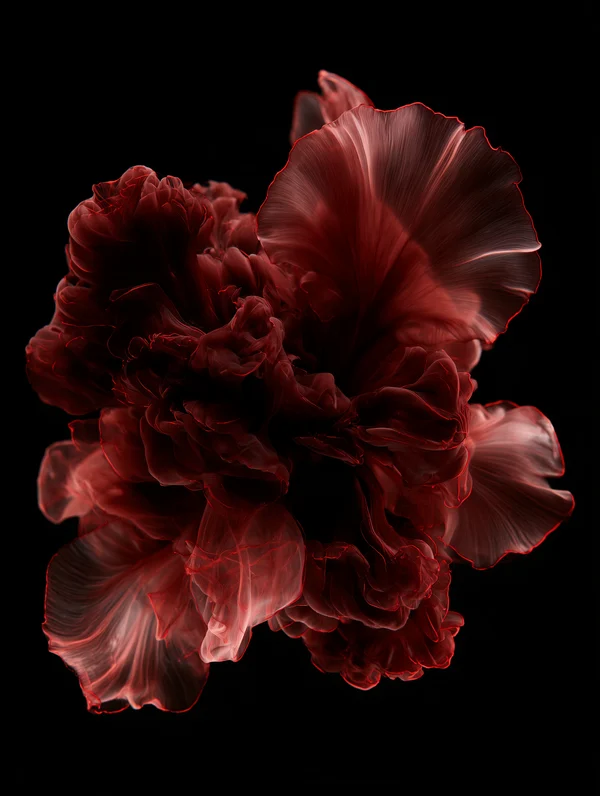 Crimson Ink Bloom