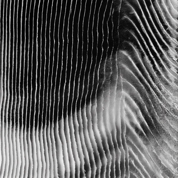 Monochrome Corrugated Paper Texture