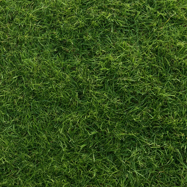 Lush Green Grass Texture