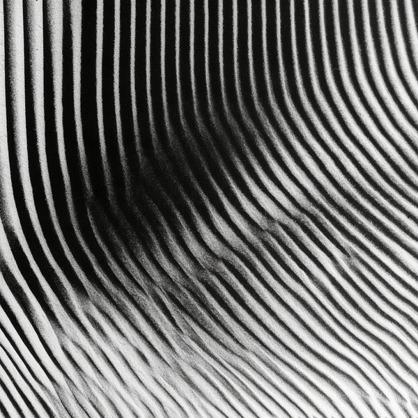Monochrome Wavy Pattern