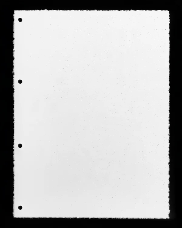 Blank Paper Sheet with Hole Punches