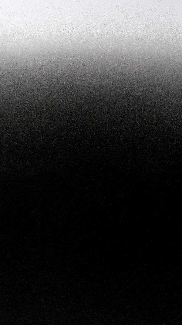 Monochrome Grainy Gradient