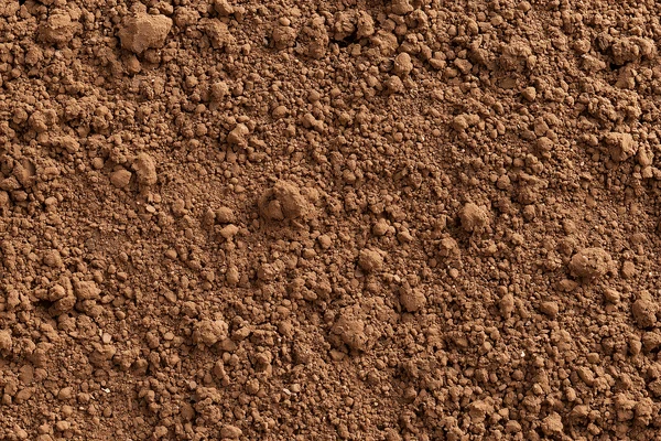 Dry Brown Soil Texture