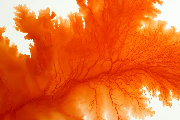 Abstract Orange Ink Flow